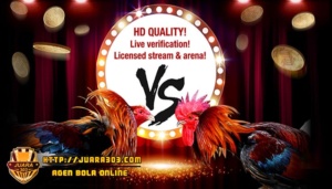 Situs Agen Judi Sabung Ayam Online Terpercaya di Indonesia